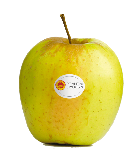 ECO_srg_pomme1